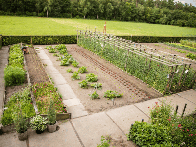 Rondleiding door boerin Gerda