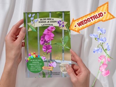 Lathyrus wedstrijd beoordeling
